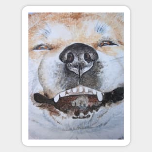 cute akita smiling funny dog portrait art Sticker